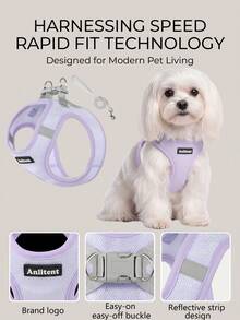 Anlitent 1set/2pcs Breathable Mesh Dog Harness And Leash Set Soft Step-In Vest Harness With Back D-Ring Adjustable Anti-Chafing Escape Proof Pet Chest Strap For Small Dogs Daily Walking Outdoor Training With 1.5M Leash All Seasons - Multicolor - View 4