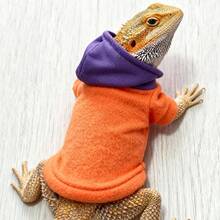 Lizard Clothes For Bearded Dragons Reptile Apparel Handmade Cotton Material Hoodies Gift For Lizard Small Animal Gecko Chameleon - Multicolor - View 8