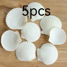 5/10 Count, Small And Large White Scallop Shells, 4-5 Inches – Natural Seashells For DIY Crafts, Painting, Beach Wedding Decor, And Home Decor – Bulk Smooth Polished Seashells For Crafting, Coastal Themed Decor, And Shell Jewelry Making - 1 - View 7