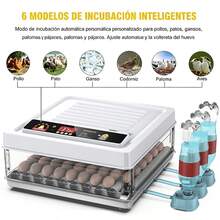 Egg Handling Supplies - White - View 4