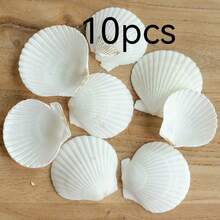 5/10 Count, Small And Large White Scallop Shells, 4-5 Inches – Natural Seashells For DIY Crafts, Painting, Beach Wedding Decor, And Home Decor – Bulk Smooth Polished Seashells For Crafting, Coastal Themed Decor, And Shell Jewelry Making - 1 - View 9