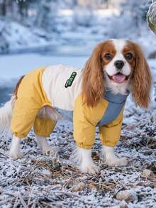DomKim Multi-Color Dog Winter Warm Jacket, Waterproof Windproof Fleece Lining Coat, Built-In D-Ring Chest Harness, Zipper Closure Easy On/Off, Comfortable Cold Weather Clothing For Small To Medium Dogs, Daily Dog Walking Outfit, Red, Grey, Cream White - Multicolor - View 10