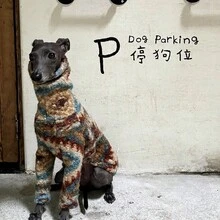 Winter New Dog 2-Legged Plush Soft Thick Warm High Neck Home Wear For Italian Greyhound And Whippet - Multicolor - View 6