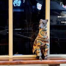 Winter New Dog 2-Legged Plush Soft Thick Warm High Neck Home Wear For Italian Greyhound And Whippet - Multicolor - View 3