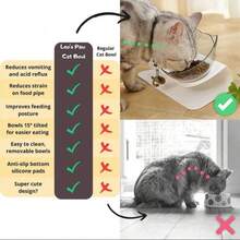 1pc Elevated Cat Food And Water Bowl Set, Durable Plastic Raised Bowl, Non-Slip Stable Base, Ergonomic Neck Protection Design, Practical Indoor Cat And Kitten Feeding Supplies - Large Capacity - View 3