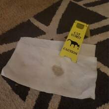 5-Piece Funny "Pet Vomit" A-Frame Warning Sign – Yellow Caution Sign For The Home – Gag Gift For Dog And Cat Lovers - Multiple Styles - View 3