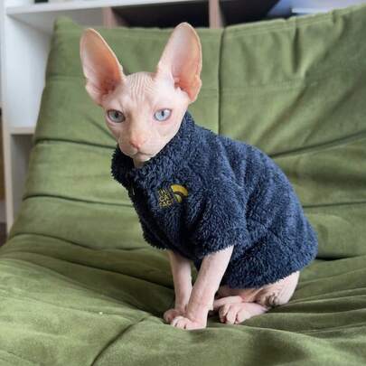 Ropa para gatos sin pelo Otoño/Invierno Sphynx Devon Rex Pequeño/Mediano Chaqueta gruesa y cálida para mascotas