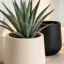 Large Floor Planter, Ceramic-Feel Matte Indoor Plant Pot, Decorative Plant Container, Lightweight And Durable, Home And Office Decor, Black And Beige - Multiple Styles - View 4