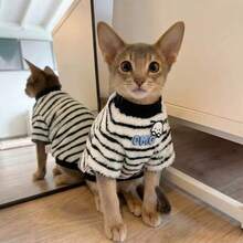1pc Pet Supplies, Pet Clothing, Cute Striped Two-Legged Cat Vest, Thickened Warm Design For Autumn/Winter, Blue Cat Hairless Cat Home Wear - Black and White - View 2
