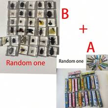 1pc Double Row 16-Hole Harmonica Christmas Gift, Other Holiday Gift - Iron Harmonica Mouth Organ Random Color, Blind Box Style With Surprise, Beginner, Student Practice Musical Instrument Toy Mini Harmonica, Random Color And Style Shipped. This Is An Iron Harmonica, Scratches Are Normal, There Is A Thin Film On The Product, Just Tear It Off. Combined With Zodiac Commemorative Coin, The Harmonica In The SKU Image Is Random. - Random Color - View 18