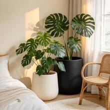Large Floor Planter, Ceramic-Feel Matte Indoor Plant Pot, Decorative Plant Container, Lightweight And Durable, Home And Office Decor, Black And Beige - Multiple Styles - View 6