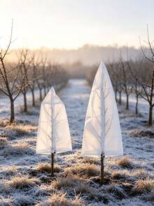 Plant Winter Insulation Cover, Transparent Breathable Tree Frost Protection Cover, Zipper And Drawstring Design, Non-Woven Fabric Potted Plant Cold Protection Sleeve, Suitable For Shrubs, Seedlings, Green Plants, Garden, Balcony, Outdoor Yard Use, Winter Frost, Snow And Freeze Protection, Gardening Maintenance Supplies, Potted Fruit Trees And Flowers Winter Protection Cover, Garden Plant Cold Protection Bag - Multiple Styles - View 5
