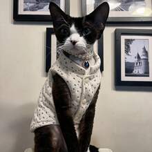 Pet Vest For Devon Rex Hairless Sphynx Cat, Autumn/Winter Warm Thickened Corduroy Cat Coat - White - View 8