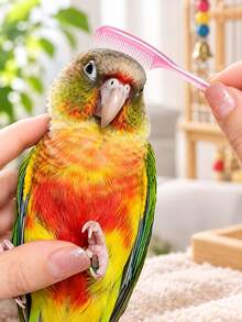 Parrot Grooming Comb, Bird Feather Brush, Interactive Grooming Tool For Parrots And Small Birds, Feather Care, Preening And Daily Pet Supplies - Multicolor - View 9