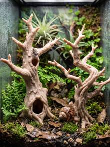 Jumping Spider Climbing Tree Habitat Decor, Reptile & Spider Enclosure Ornament For Jumping Spiders, Hermit Crabs & Tarantulas, Climbing Hiding Feeding Resting & Exploring, Terrarium Accessory - Multicolor - View 2