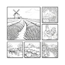 1 Adult Coloring Book Country Farm, Country Farmhouse & Orchard Coloring Pages, Rustic Country Farm Animals & Harvest Scenes, Great Gift For Nature Lovers - Country Farm - View 11