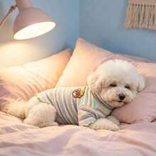 Striped Ribbed Dog High Neck Shirt With Bear Embroidery Pet Clothing, Soft And Warm Cat And Dog Home Clothes - Green - View 8