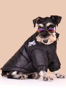 1pc Fashion Dog Warm Coat, Pet Down Padded Coat, Reflective Autumn/Winter Warm Jacket Clothing - Multicolor - View 4