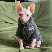 Hairless Cat Clothes Autumn/Winter Brand Cat Face Design For Sphynx And Devon Rex Small/Medium Pet Cat Thermal Lined Warm Jacket - Grey - View 5