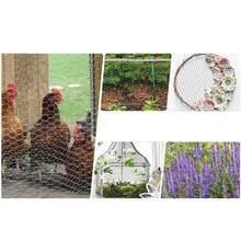 Hexagonal Chicken Wire Galvanized Steel Roll For Garden Art And Protection - UKWS24273 - View 3