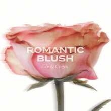 BANILA CO Romantic Blush Lip And Cheek - 12 Peach Mousse - Peach - View 7