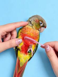 Parrot Grooming Comb, Bird Feather Brush, Interactive Grooming Tool For Parrots And Small Birds, Feather Care, Preening And Daily Pet Supplies - Multicolor - View 4