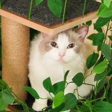 190 Cm Cat Tree Scratcher, 4 Platforms And Cat Hole: Pet Material, Removable Leaves, Scratch-Resistant MDF - Ideal For Hiding And Crawling Cats - Green - View 8