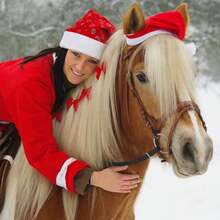 1 Pieces Santa Hat For Horse - Christmas Pet Costume, Santa Horse Hat, Winter Xmas Holiday Party Accessory - Multicolor - View 5