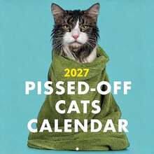 2027 -Off Cat Calendar - 12-Month Wall Calendar, Humorous Cat-Themed Fun Gift Planner For Cat Lovers - Multicolor - View 10