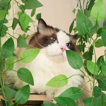 190 Cm Cat Tree Scratcher, 4 Platforms And Cat Hole: Pet Material, Removable Leaves, Scratch-Resistant MDF - Ideal For Hiding And Crawling Cats - Green - View 6