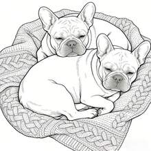 1 cuốn sách tô màu cho người lớn Bulldog, các trang tô màu Bulldog phong cách kỳ ảo, giúp giảm căng thẳng, lựa chọn quà tặng tuyệt vời cho những người yêu thú cưng trưởng thành - Chó Bull Pháp - Xem 5