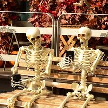 Full Body Posable Realistic Skeleton Prop, Adjustable Joints, Suitable For Halloween Backyard Decor, Door Hanging And Holiday Cosplay Scene Setup - Skull Series - View 4