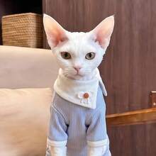 Cute Striped 4-Legged Cat Jumpsuit With Floral Collar, Soft Elastic Pet Jumpsuit With Back Buckle Design, Suitable For Hairless Cats, Devon Rex Kittens - Multicolor - View 9