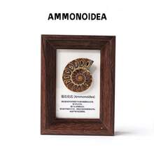 1PC Natural Crystal Ore Mini Photo Frame, Reiki Energy Healing Feng Shui Decor, Good Luck Home Office Ornament, Thanksgiving & Christmas Gift - Mineral Label Mini Photo Frame - View 12