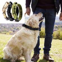 Practical Large Dog Collar With Control Handle, Adjustable Fit, Heavy-Duty Quick-Release Metal Buckle, 1000D Nylon Fabric, Padded Webbing, D-Ring, Suitable For Training And Hiking - Multicolor - View 5