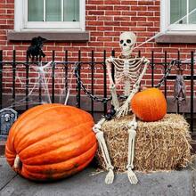 Full Body Posable Realistic Skeleton Prop, Adjustable Joints, Suitable For Halloween Backyard Decor, Door Hanging And Holiday Cosplay Scene Setup - Skull Series - View 5