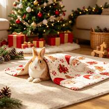 1pc Christmas Small Pet Blanket, Soft Plush Warm Throw, Ultra Soft Flannel Pet Sleeping Mat, Winter Pet Cage Pad, Machine Washable Holiday Bedding Cover, Suitable For Rabbits, Guinea Pigs, Hamsters, Kittens - Multicolor - View 6