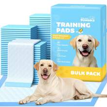Thickened Disposable Pet Pee Pads, Dog Diapers, Rabbit Cat Dog Urine Pads - 35 X 45 - View 1