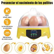 Egg Handling Supplies - US A Type Plug(110-127V) - View 8