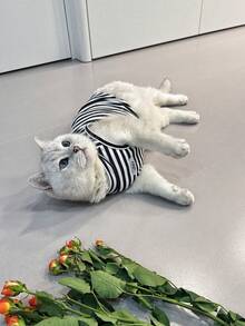 Pet Thin Striped Vest, Breathable Anti-Shedding Cat & Dog Universal Clothing, Suitable For Small Dogs, Teddy, Pomeranian, Maltese, Kitten, Daily Wear - Black and White - View 11