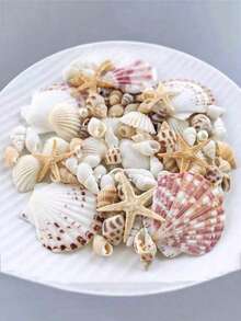1 Box Approx. 100pcs Ocean Shells & Sea Snails - For DIY Jewelry Making, Fish Tank Bathroom Home Decor, Party Candle Wedding Decoration, Handmade Crafts - 1 Box - View 1