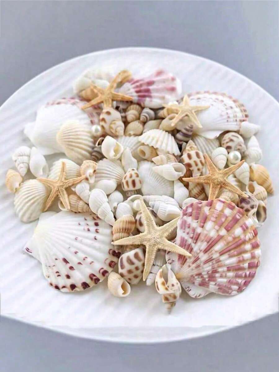 1 Box Approx. 100pcs Ocean Shells & Sea Snails - For DIY Jewelry Making, Fish Tank Bathroom Home Decor, Party Candle Wedding Decoration, Handmade Crafts - 1 Box - View 1