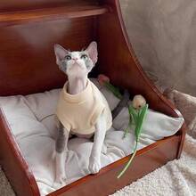 Multi-Color All-Season Cat Undershirt, Autumn/Winter Thermal Warm Pet Vest, Cat Clothes For Sphynx Hairless Cats, Cornish Rex, Abyssinian - Mauve Purple - View 8