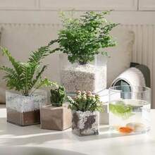 Plastic Square Transparent Vase, High Transparency Glass-Like Flower ...