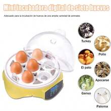 Egg Handling Supplies - US A Type Plug(110-127V) - View 9