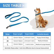 Lynxking 1PC Dog Leash,Durable Webbing Lead With Reflective Strips And D-Ring For Small Medium And Large Dogs - Blue - View 3