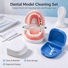 Cavity Tooth Model, Tooth Decay Introduction Model With Matching Cleaning And Repair Box, Suitable For Collection, Scene Display, And Role-Play Prop - Multicolor - View 4