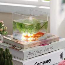 Plastic Square Transparent Vase, High Transparency Glass-Like Flower ...