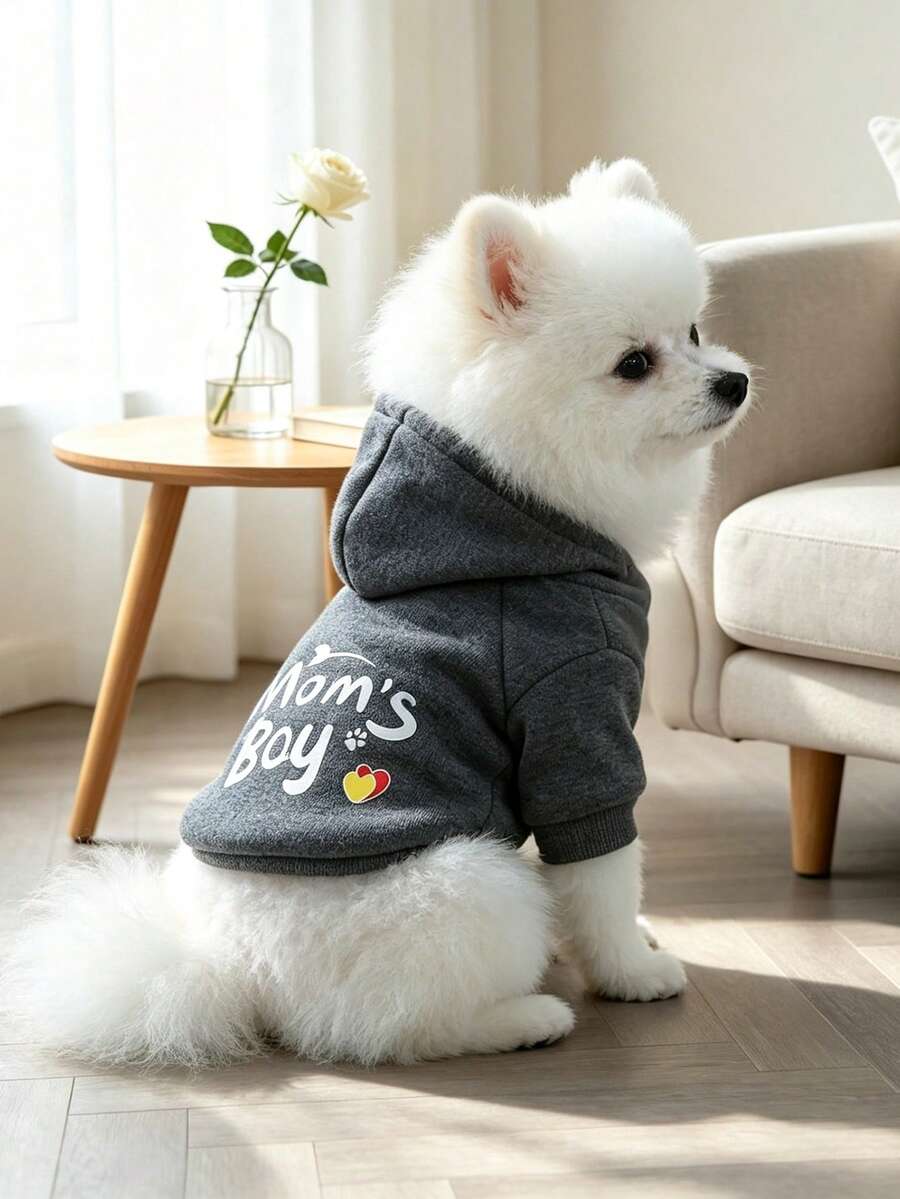 PETCIRCLE 1件寵物衣服狗狗套裝小狗秋冬款可愛寵物連帽衛衣媽媽大兒子素色衛衣 - 煙灰色 - 灰色 - 查看 1