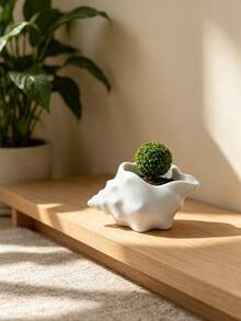 3D Printed Seashell Shaped Planter (Plants Not Included) High-Quality Plastic Material, Interesting Design, Perfect Home For Plants Like Money Plant, Succulents, Home Decor, Room Decor, Outdoor Garden Decor - Multicolor - View 5